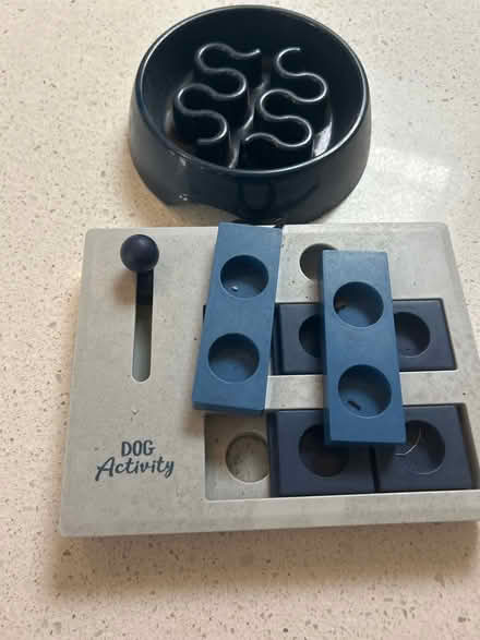 Photo of free Dog slow bowl and puzzle game (East End) #1