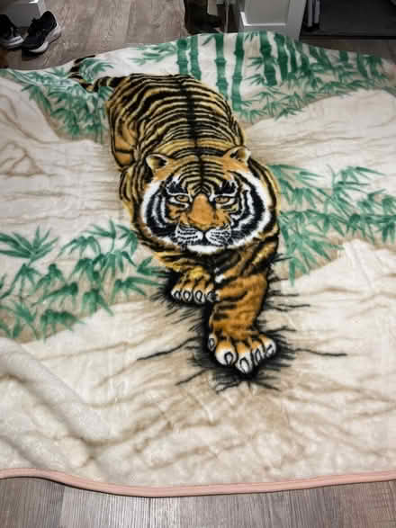 Photo of free Blanket (HP10 flackwell heath) #1