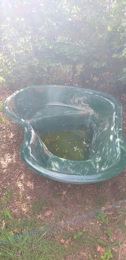 Photo of free Large pond (Petersfield, GU32) #3
