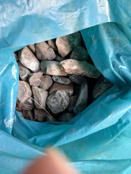 Photo of free Bag of decorative pebbles/small stones (Rydon Park EX2) #1