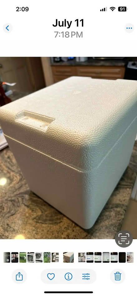 Photo of free Cooler and ice packs (Lexington MA) #2