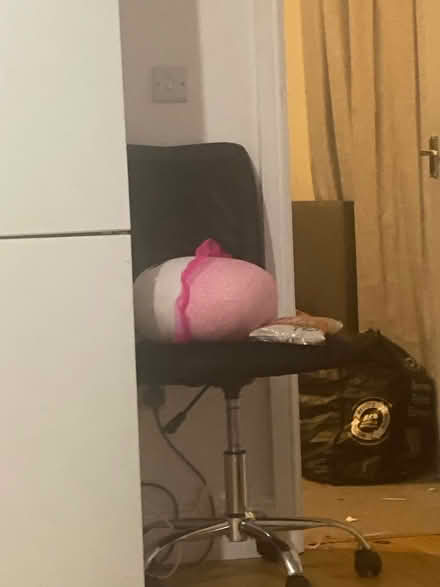 Photo of free Random stuff (Thorpedale house NN2) #3