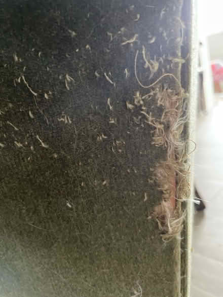 Photo of free Chair (Matlock DE4) #2