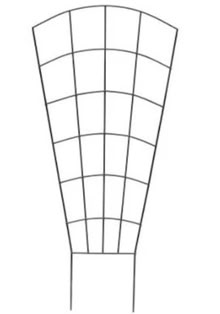 Photo of Garden trellis (Davisville) #1