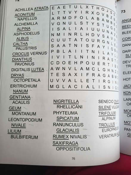 Photo of free Wordsearch book (Shirley B90) #2