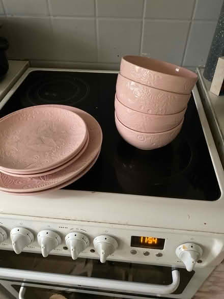 Photo of free Pink plate set missing 1 plate p (Mk16 0pj) #1