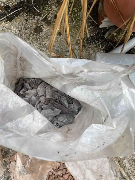 Photo of free Garden stuff (BL1) #4