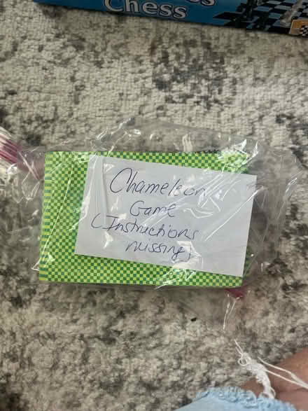 Photo of free Chameleon game (Fort Lee south) #1