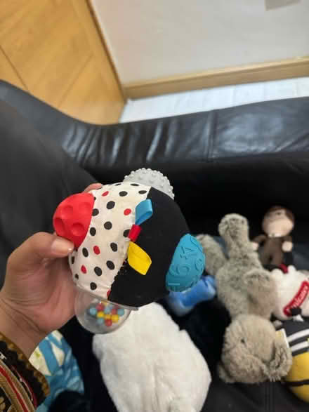 Photo of free Multiple soft toys (IG2) #1