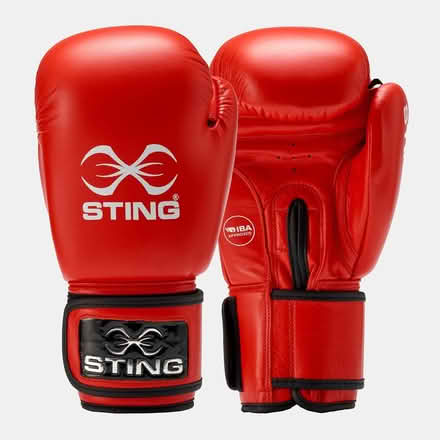 Photo of Boxing Gear for Charity start up (Teignmouth TQ14) #1