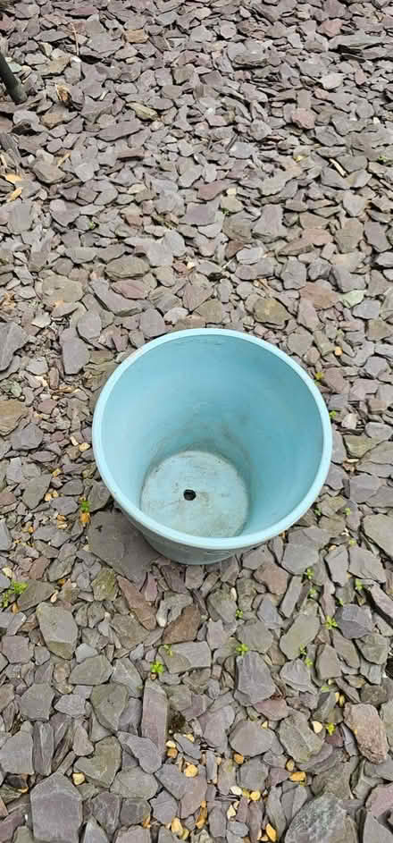 Photo of free Painted terracotta pot (Horsham, RH13) #3