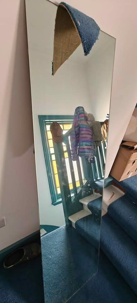 Photo of free Mirror (approx 152 x 44) (Costorphine EH12) #1