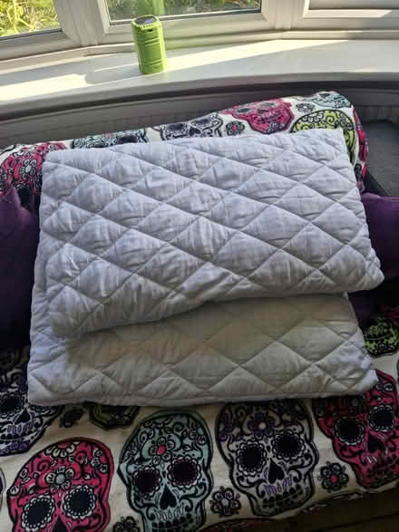 Photo of free 2 pillows (Falsgrave, Scarborough) #1