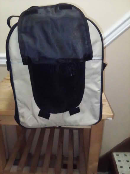 Photo of free Gigundo Pet Carrier 10031 (Hamilton Heights 10031) #4