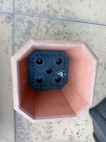 Photo of free 20cm plant pot (Dudley DY3) #2