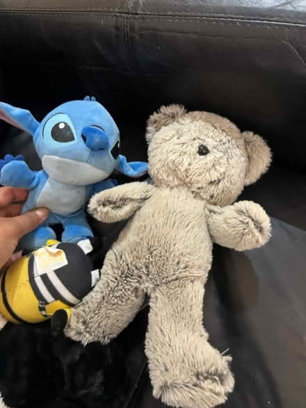 Photo of free Multiple soft toys (IG2) #2