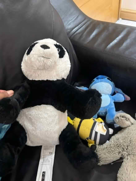 Photo of free Multiple soft toys (IG2) #3