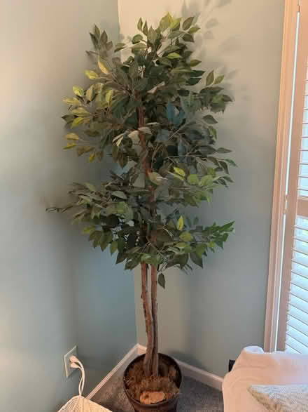 Photo of free Fake tree (Roswell, GA) #1