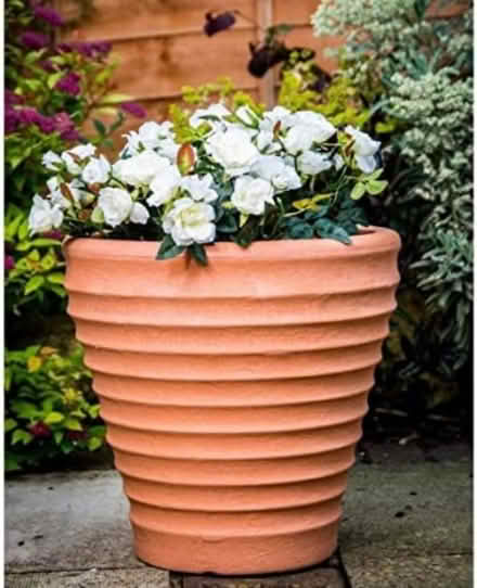 Photo of 40-50cm Terracotta Pot (SW11 Battersea) #1