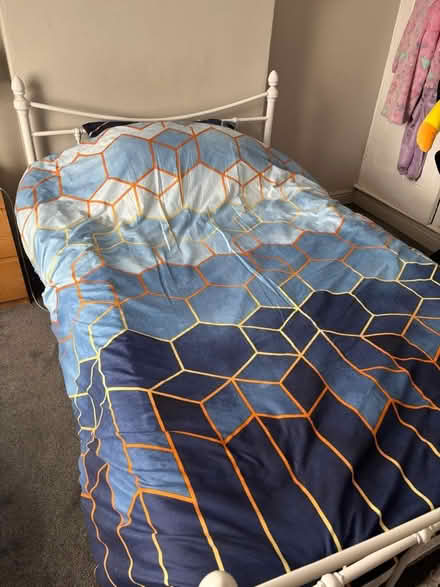 Photo of free Double bed and mattress (Ng10 3nf) #1