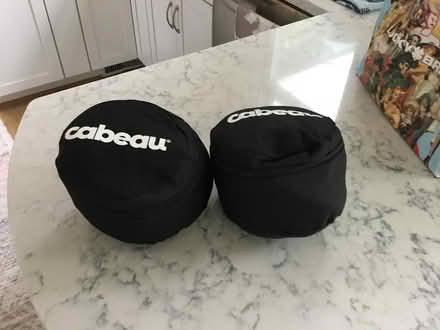 Photo of free Two airplane neck pillows (Mt. Pleasant) #1