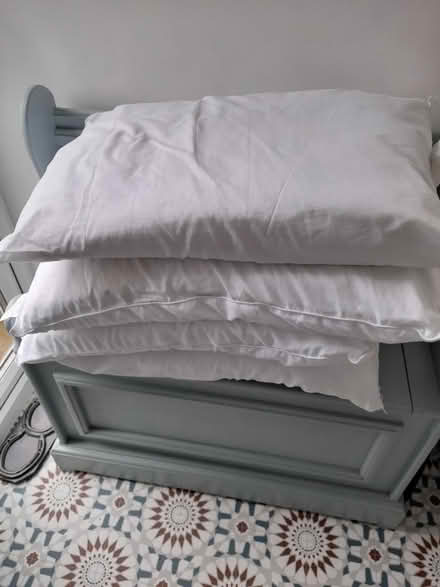 Photo of free Pillows (TN29 Dymchurch) #1