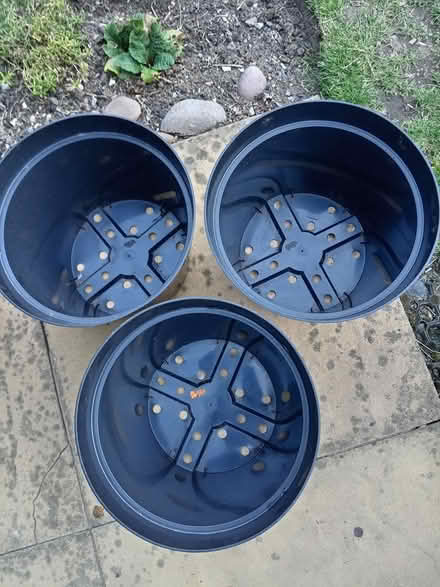 Photo of free 3 Large black pots (Dudley DY3) #1