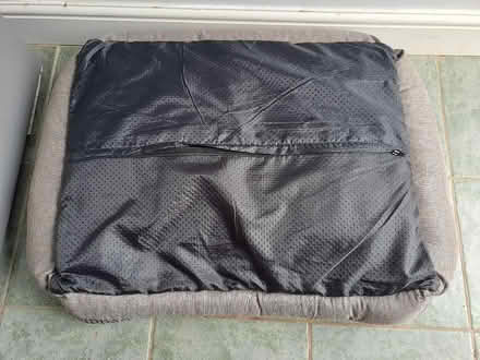 Photo of free Medium Dog Bed (Battle TN33) #3