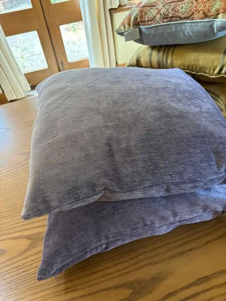Photo of free 8 Cushion Pads and Covers (Romsey) #2