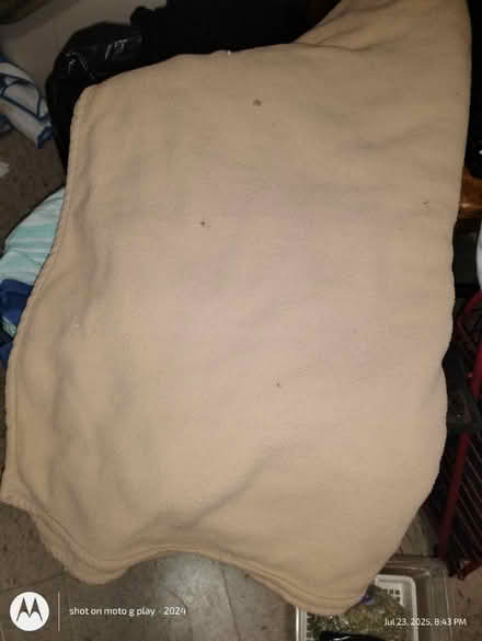 Photo of free Heavy Big Blanket - Queen (Bronx, 10473) #1