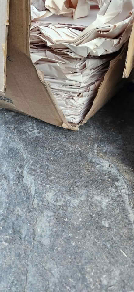 Photo of free Moving/packing paper (Burlington, wa) #2