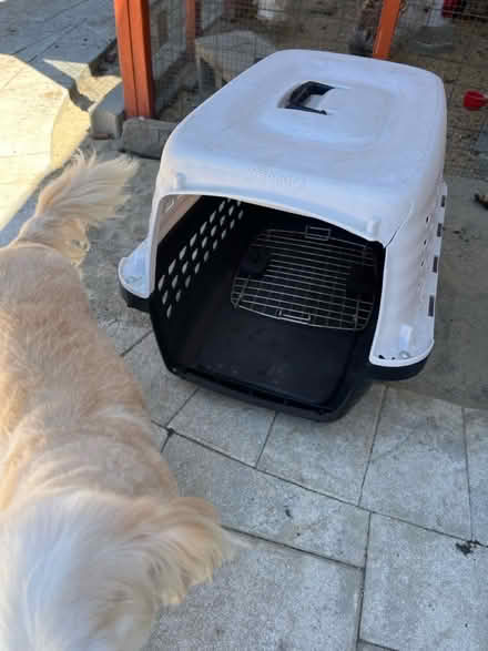 Photo of free Medium sized dog crate (Downtown Mountain View) #1
