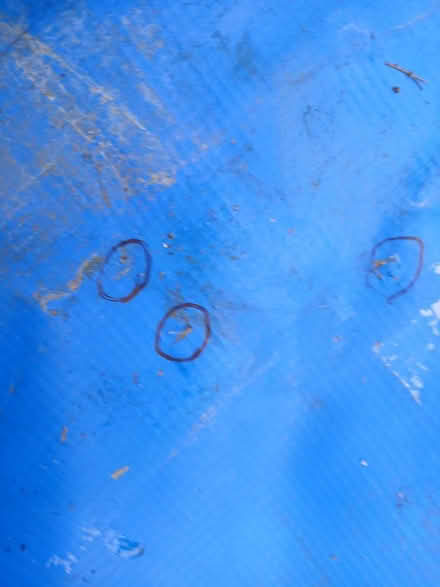 Photo of free Swimming pool (Iver Heath SL00BZ) #4
