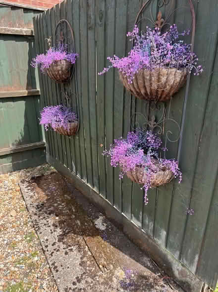 Photo of free Flower baskets for a wall (Highfields Caldecote) #1