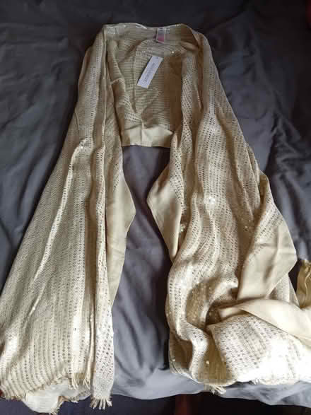 Photo of free Accessorize sequined poncho (Teddington TW11) #1