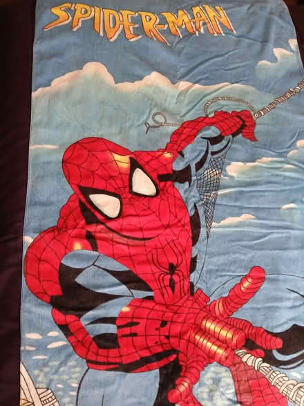 Photo of free Spiderman beach towel (Rydon Park EX2) #1
