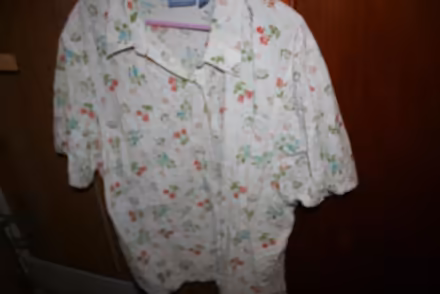 Photo of free size 3X women's shirt (Big Timber & Randall Rd, Elgin) #3