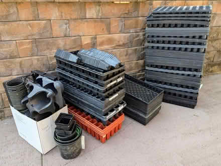 Photo of free Plant Plug Flats with Trays & Pots (Aston near Northley) #1