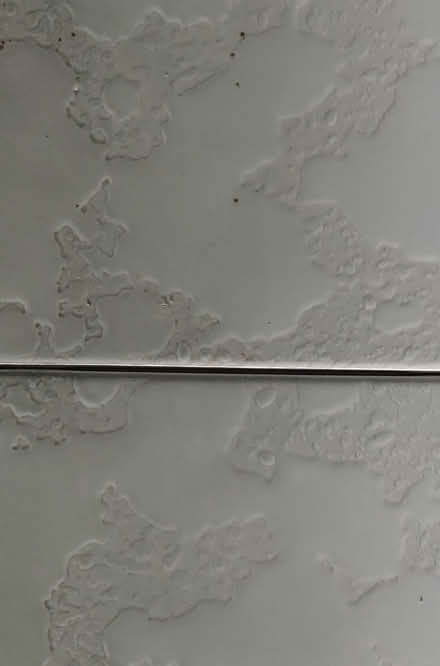Photo of free wall tiles (dorset) #1