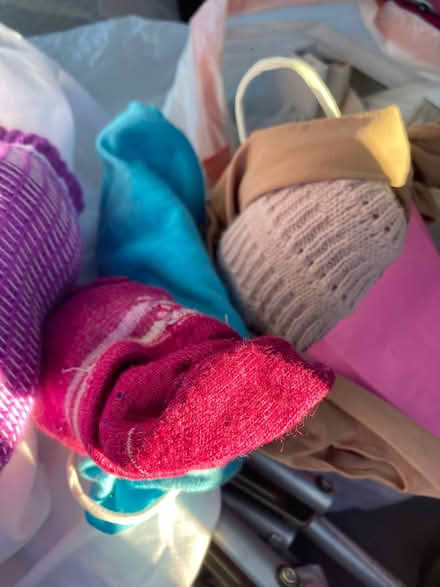 Photo of free Cute women, socks in bright colors (Foothill Boulevard Cupertino) #1
