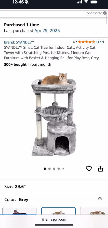 Photo of free Cat tree/169th street (Washington Heights 169th) #1