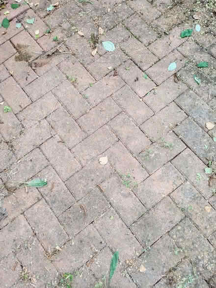 Photo of free Block paving (Lings) #3