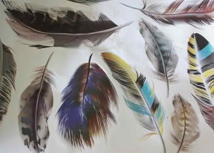 Photo of free 4 x Large Sheets Feather Stickers (Parkstone BH12) #2