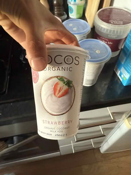 Photo of free 4 total Coconut yogurt (ha28qz) #1