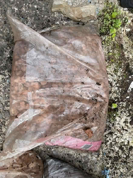 Photo of free Garden stuff (BL1) #3