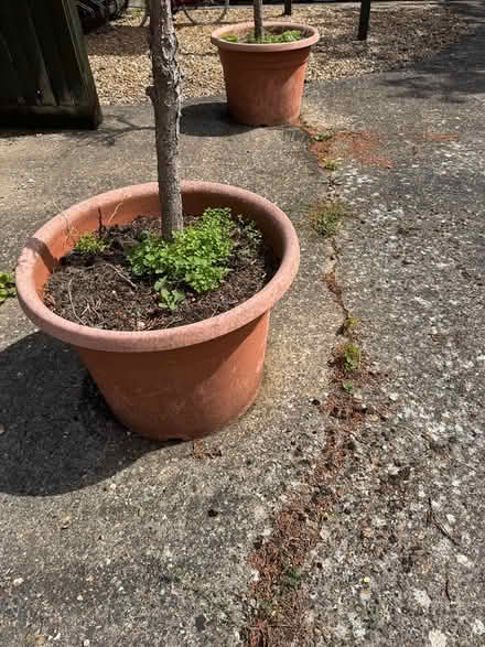 Photo of free Two big pots with soil (Highfields Caldecote) #1