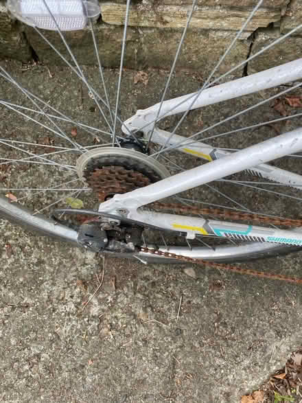 Photo of free Bicycle (Skipton BD23) #2