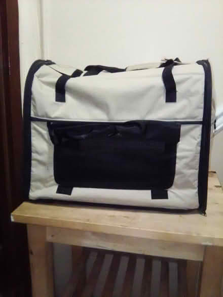 Photo of free Gigundo Pet Carrier 10031 (Hamilton Heights 10031) #1