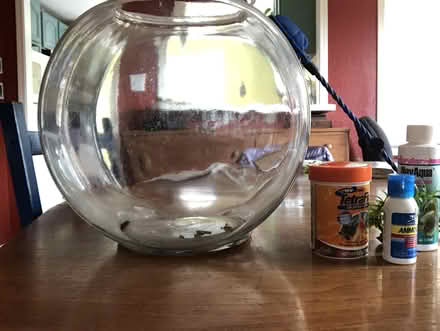 Photo of free fish bowl (West Berkeley) #1