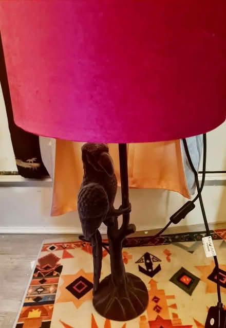 Photo of free Parrot lamp (Harlesden) #2